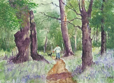 Ancient oak tree Ashton Court