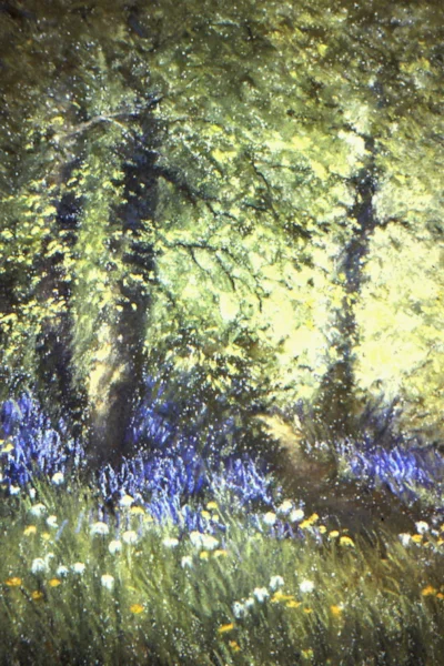 bluebell Edge pastel