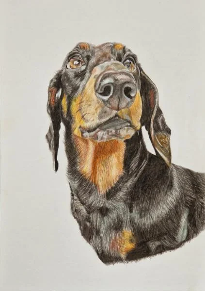 Florrie by Gemma Phipps