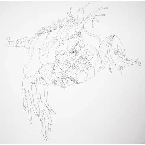Sketch of an iguana