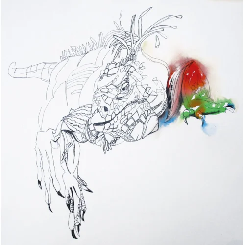 Adding watercolour to the iguana pencil outline