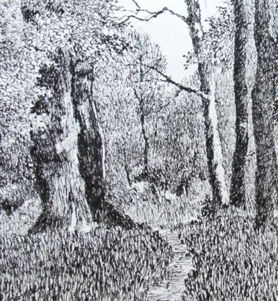 Old Oak tree Ashton Court Bristol - Copy