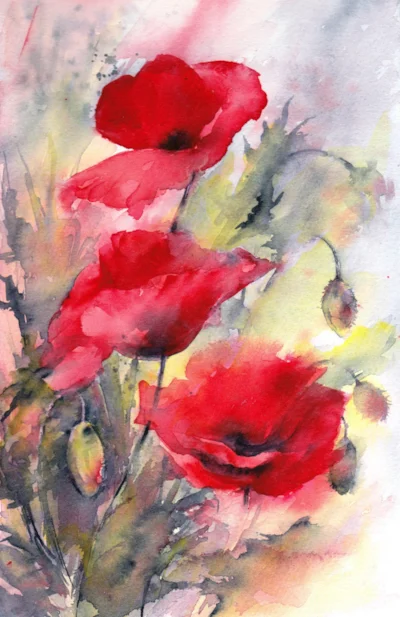 Poppies