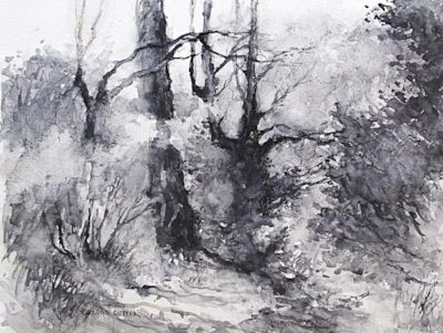 Woods at Almondsbury