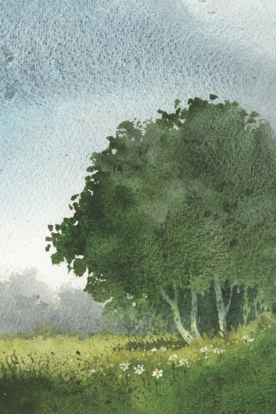 Summer Trees by David Bellamy