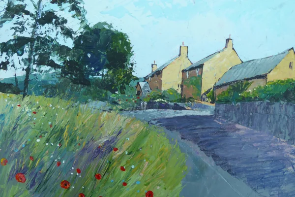 Narrowdale by Tim Fisher